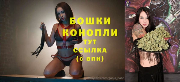 a pvp Пересвет