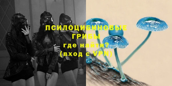 гашик Зерноград