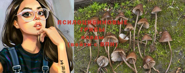 MESCALINE Инта