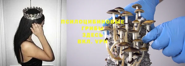 герыч Бикин