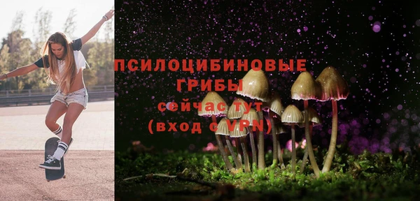 круглые Иннополис