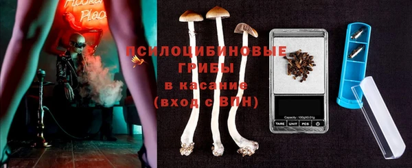 тгк Инсар