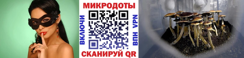 нарко площадка наркотические препараты  Калач  Галлюциногенные грибы мицелий  omg ссылка 